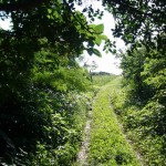 困難な道が、実は楽な成功の道