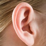 他人の指摘を受け入れる