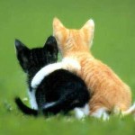 ゼロから成功するには、この方法が一番